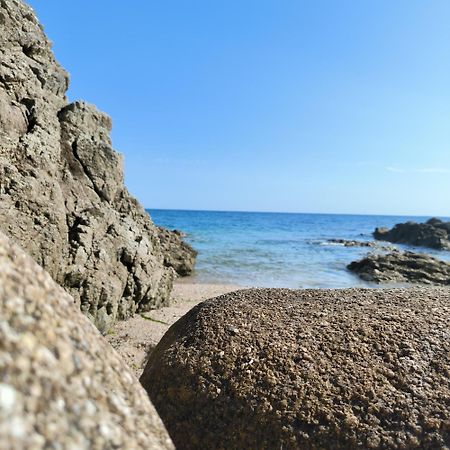 Le 3 Appartement Vue Mer Avec Jardin 100M De La Plage Et De La Thalasso Concarneau Eksteriør bilde