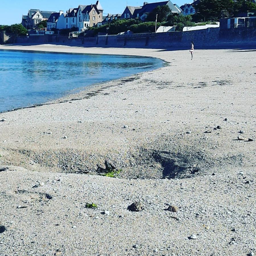 Le 3 Appartement Vue Mer Avec Jardin 100M De La Plage Et De La Thalasso Concarneau Eksteriør bilde