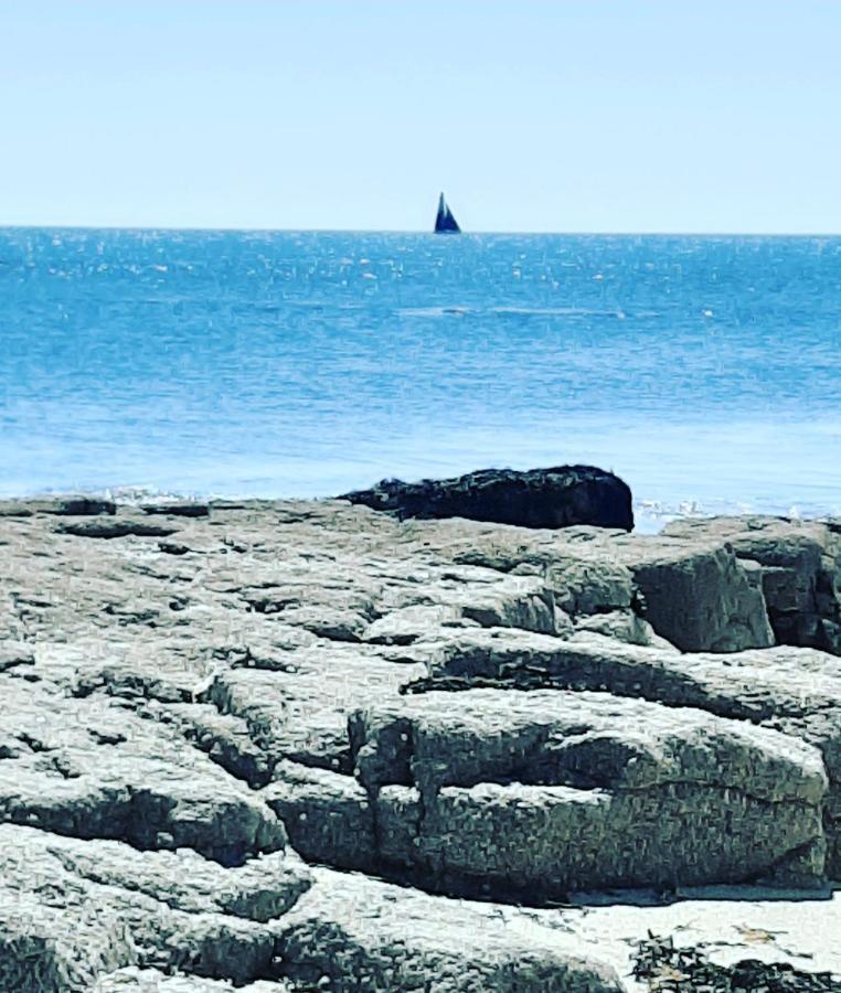 Le 3 Appartement Vue Mer Avec Jardin 100M De La Plage Et De La Thalasso Concarneau Eksteriør bilde