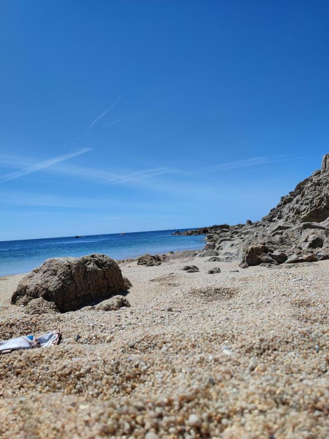 Le 3 Appartement Vue Mer Avec Jardin 100M De La Plage Et De La Thalasso Concarneau Eksteriør bilde