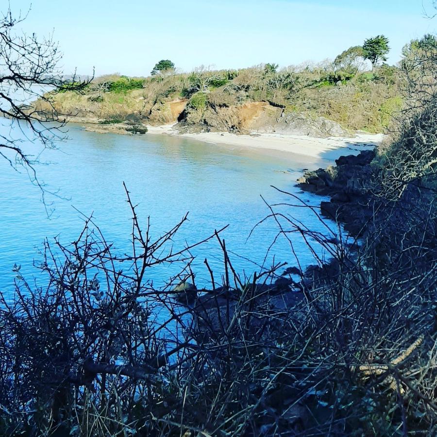 Le 3 Appartement Vue Mer Avec Jardin 100M De La Plage Et De La Thalasso Concarneau Eksteriør bilde
