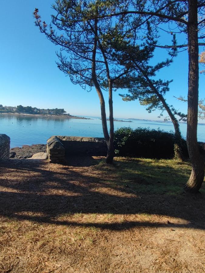 Le 3 Appartement Vue Mer Avec Jardin 100M De La Plage Et De La Thalasso Concarneau Eksteriør bilde