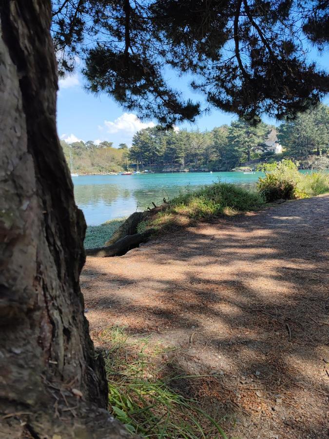 Le 3 Appartement Vue Mer Avec Jardin 100M De La Plage Et De La Thalasso Concarneau Eksteriør bilde